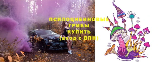 ешки Козловка
