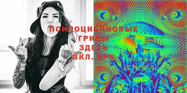 ешки Козловка