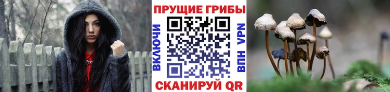 Псилоцибиновые грибы MAGIC MUSHROOMS  Купить  Волгореченск 